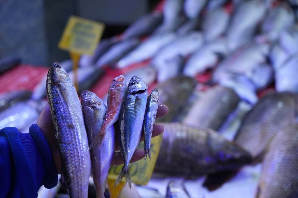 Tarım ve Orman Bakanlığı Balıkçılık ve Su Ürünleri Genel Müdürü Turgay