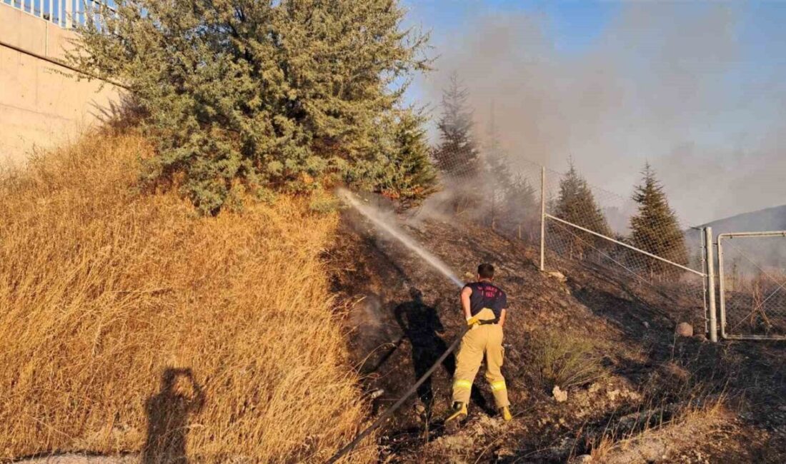 Balıkesir’de İzmir-İstanbul otoyolunun Ortaca mevkiinde meydana gelen otluk ve ağaçlık
