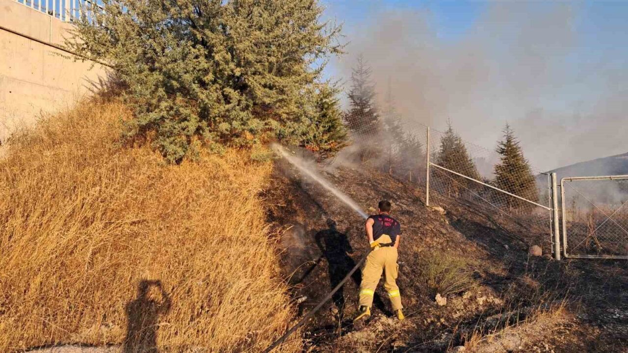 Balıkesir’de İzmir-İstanbul otoyolunun Ortaca mevkiinde meydana gelen otluk ve ağaçlık