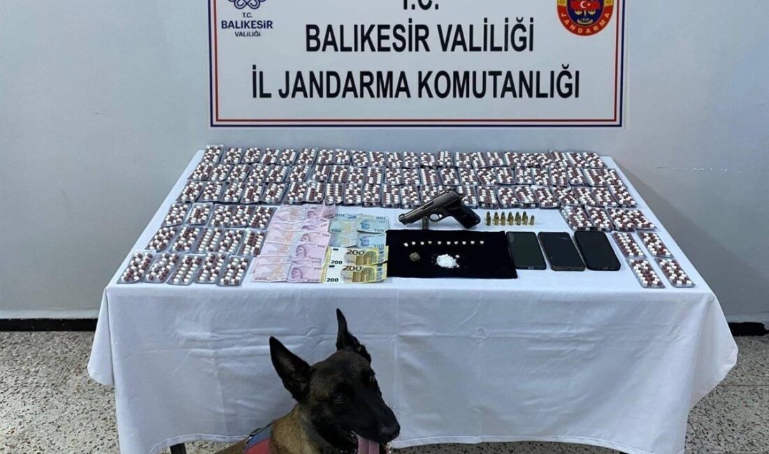 Balıkesir İl Jandarma Komutanlığı ekiplerince, körfez ilçelerinde örgütlü olarak uyuşturucu