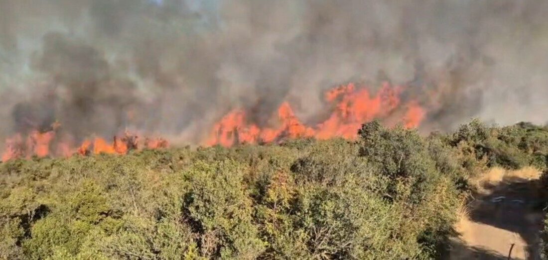 Balıkesir’in Susurluk ilçesine bağlı Günaydın Mahallesi Karaorman mevkiinde arazide ve