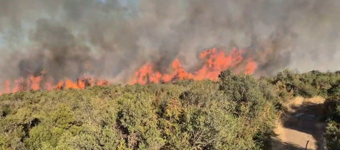Balıkesir’in Susurluk ilçesine bağlı Günaydın Mahallesi Karaorman mevkiinde arazide ve