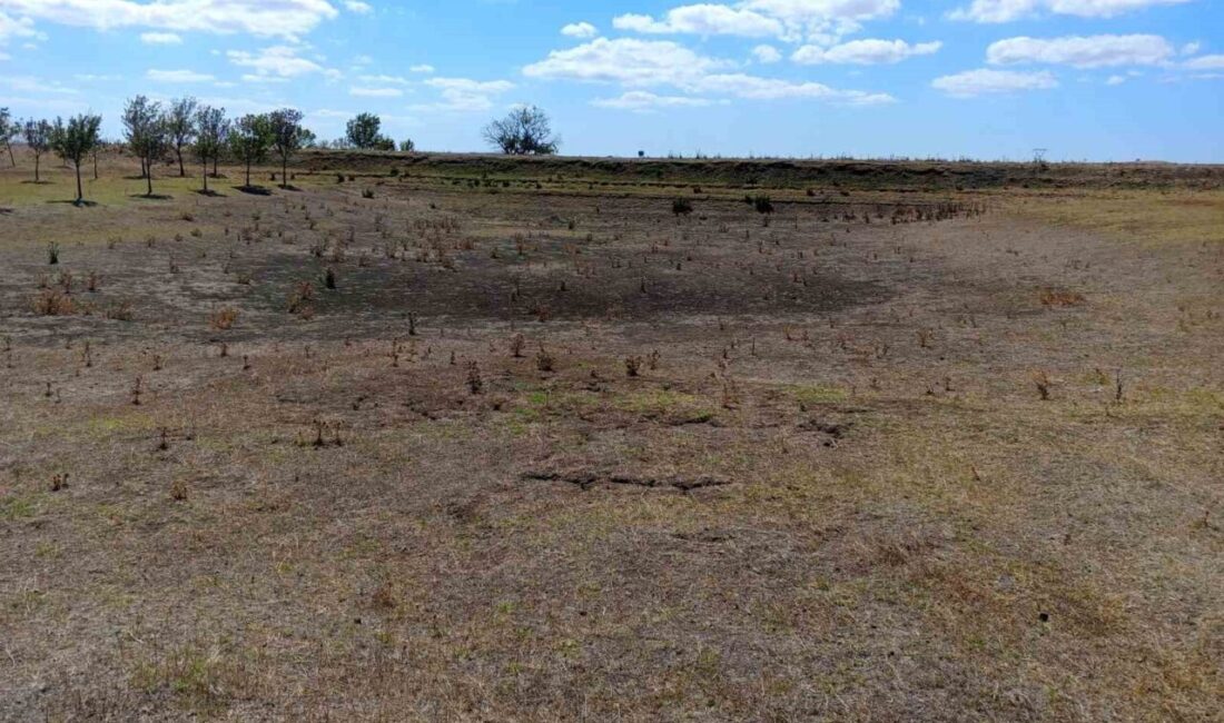 Tekirdağ’ın Muratlı ilçesi Ballıhoca Mahallesi’nde bulunan sulama göleti, kuraklık ve