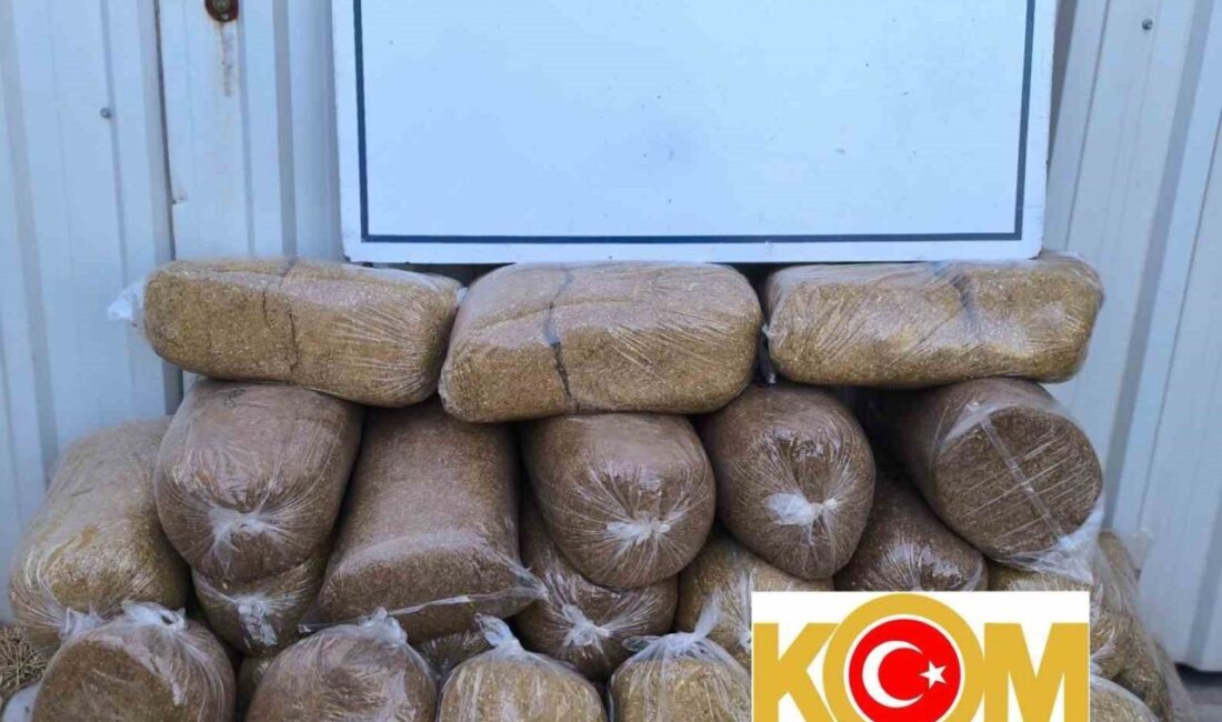 Balıkesir İl Emniyet Müdürlüğü’ne bağlı Bandırma KOM Büro Amirliği ekipleri,