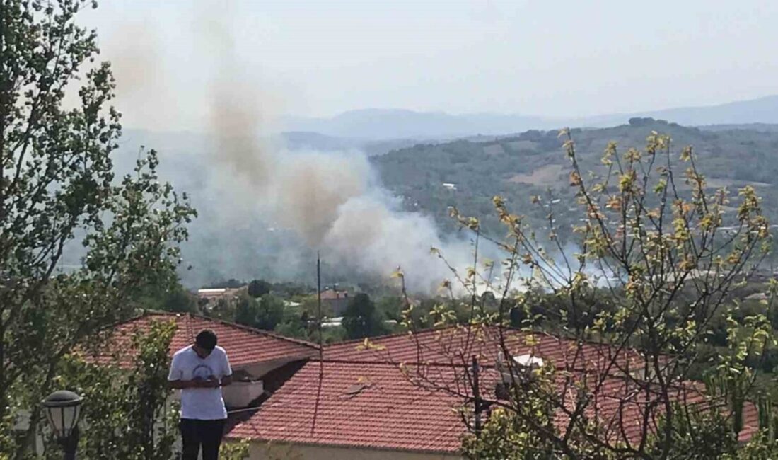 Bartın’ın Amasra ilçesine bağlı Ahatlar mevkii ile İnkumu yolu üzerinde
