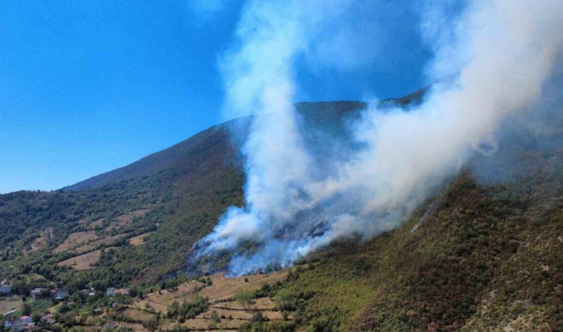 Bartın’ın Ulus ilçesinde çıkan yangın havadan görüntülendi. Arılıktan çıkarak ormanlık