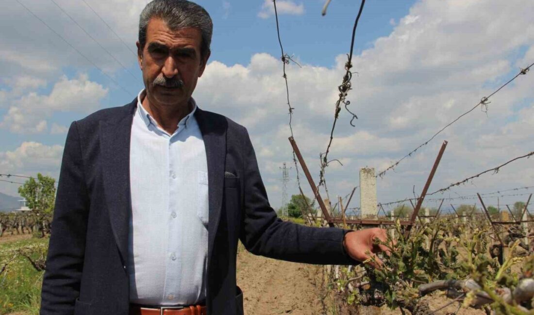 Su kriziyle boğuşan İzmir’e su kaynağı oluşturmak için Manisa’da su