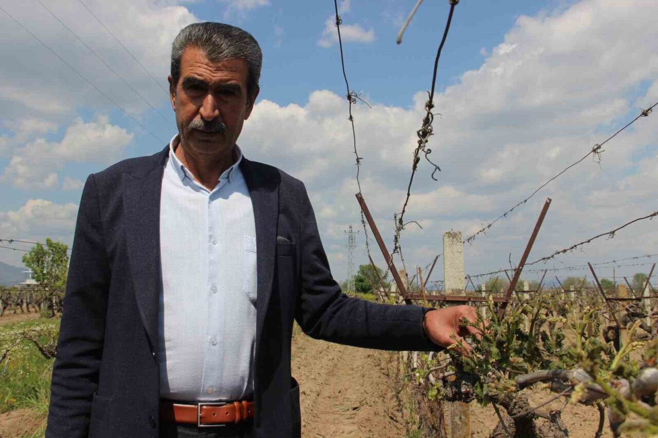 Su kriziyle boğuşan İzmir’e su kaynağı oluşturmak için Manisa’da su