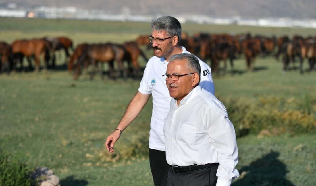 Kayseri Büyükşehir Belediye Başkanı Dr. Memduh Büyükkılıç; yılkı atları ve