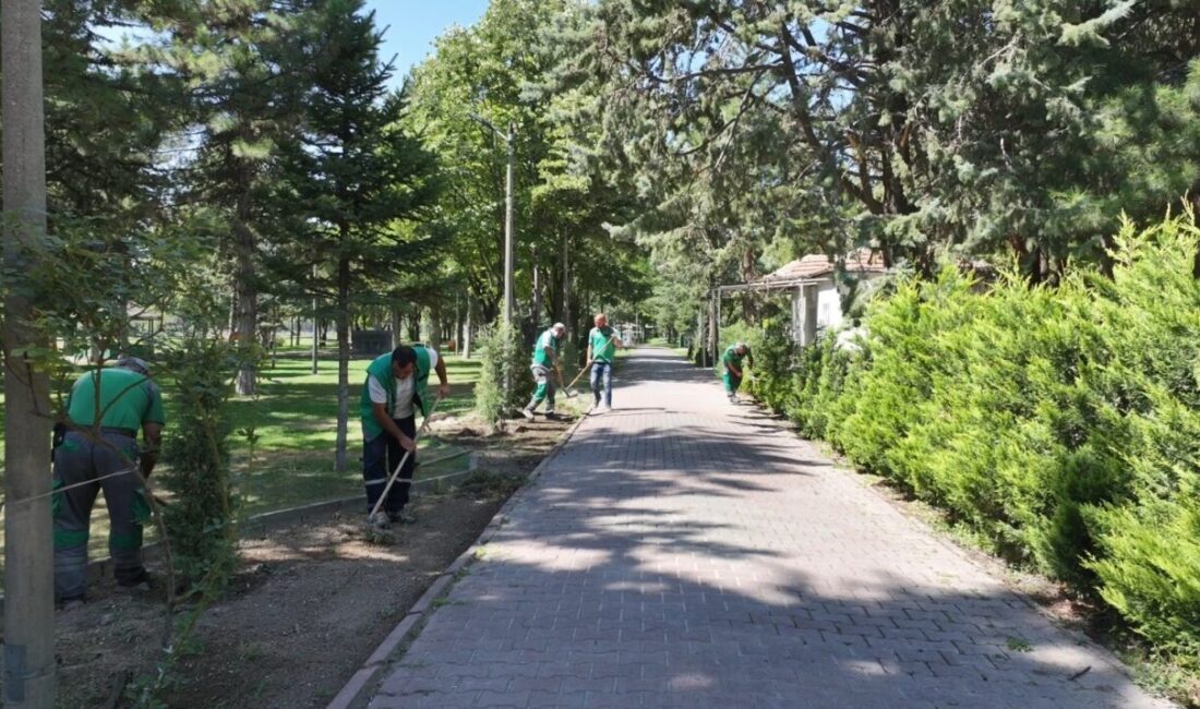 Kocasinan Belediyesi Park ve Bahçeler Müdürlüğü’ne bağlı ekipler; ilçe genelindeki