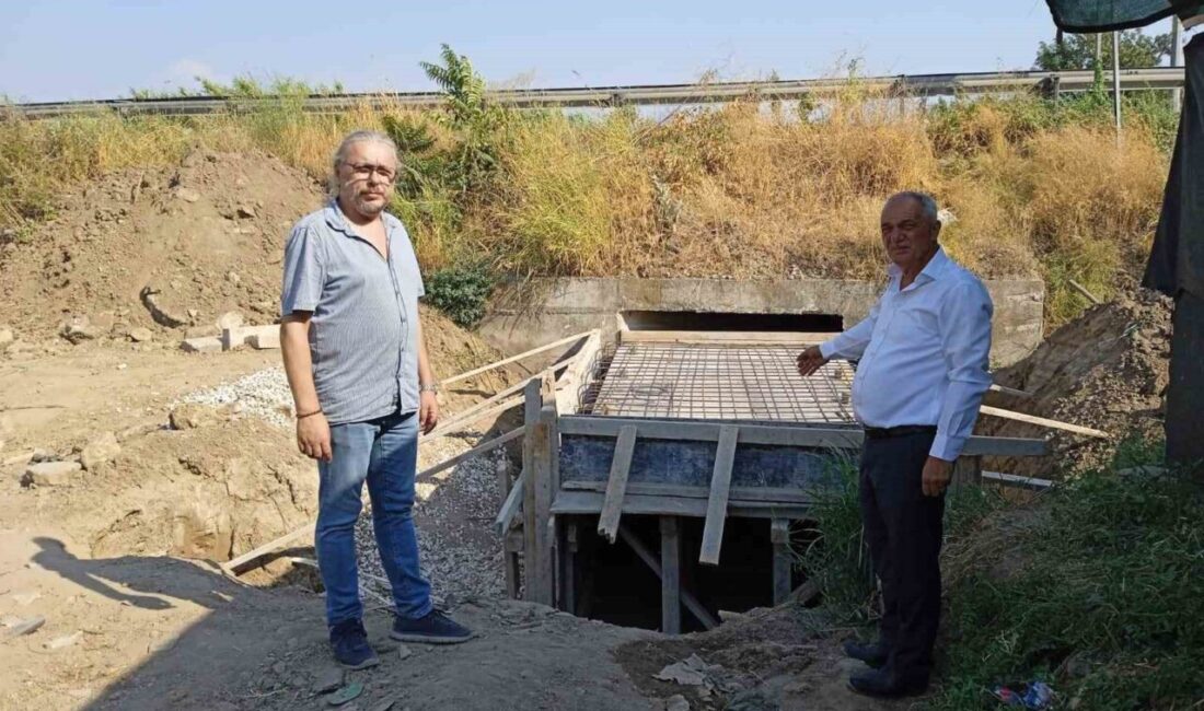 Aydın’ın Sultanhisar ilçesine bağlı Kabaca Mahallesi’nde devlet karayoluna paralel konumdaki