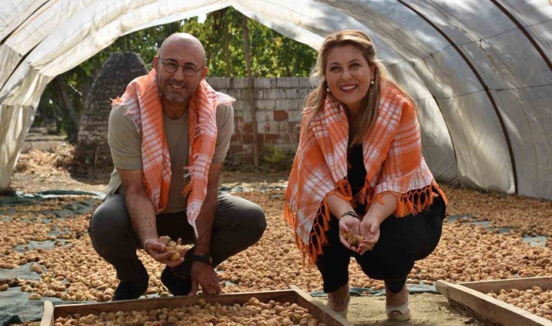 Germencik Belediye Başkanı Burak Zencirci Cumhuriyet Halk Partisi Giresun Milletvekili