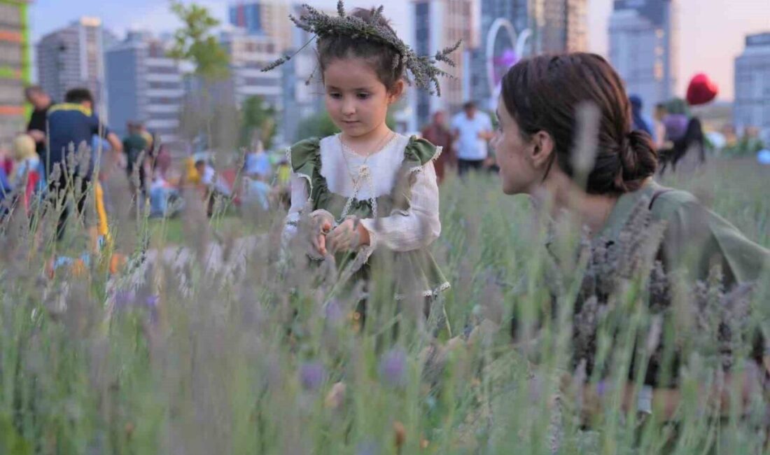 Başkentliler, 2. Geleneksel Lavanta Festivali’ne akın etti. Festival, Keçiören’de renkli