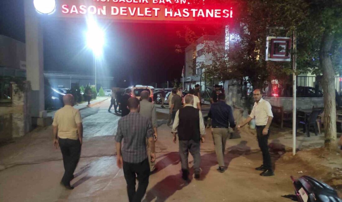 Batman’ın Sason ilçesinde yaprak keserken meşe ağacından düşen şahıs hayatını