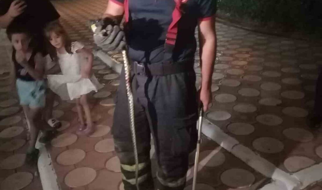 Batman merkezde bulunan bir sitenin bahçesinde görülen yılan paniğe neden