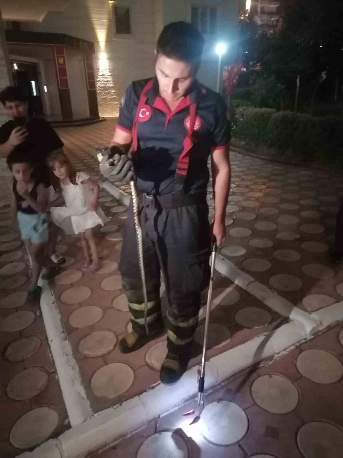 Batman merkezde bulunan bir sitenin bahçesinde görülen yılan paniğe neden