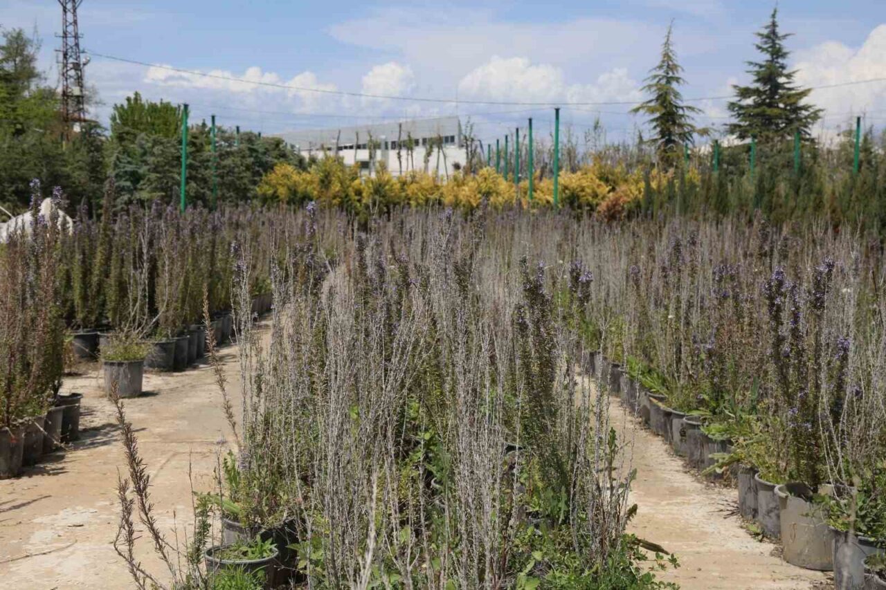 Battalgazi Belediyesi 1,5 yılda ilçedeki 75 parkı yenilerken 6 yeni