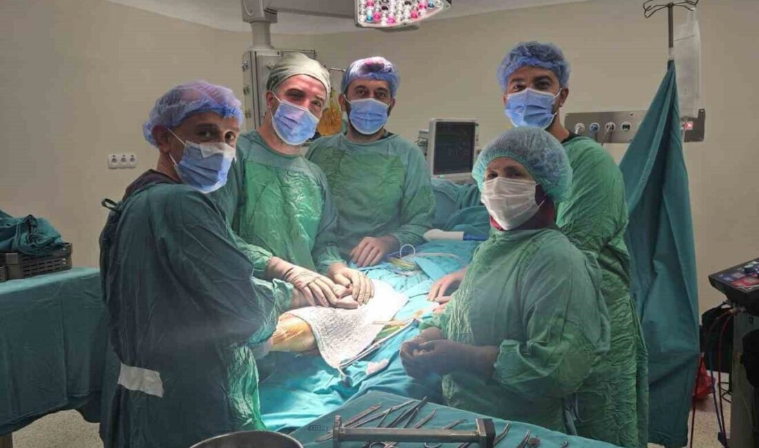 Bayburt Devlet Hastanesi Ortopedi ve Travmatoloji Polikliniğinde diz protezi ve