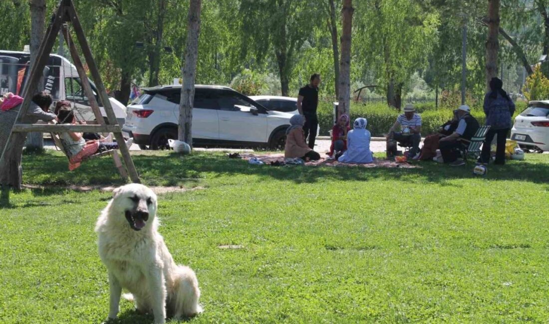Bayburt’ta hafta sonu tatili ve güzel havayı fırsat bilen vatandaşlar,