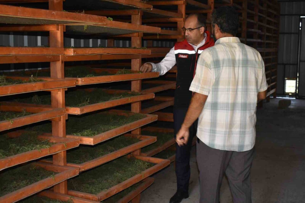 Bayburt’un önemli yöresel ürünlerinden olan tarhun bitkisinin ekonomiye kazandırılması amacıyla