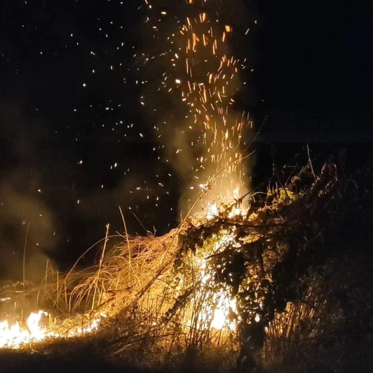Bilecik’in Bayırköy beldesinde meydana gelen anız yangını kısa sürede kontrol