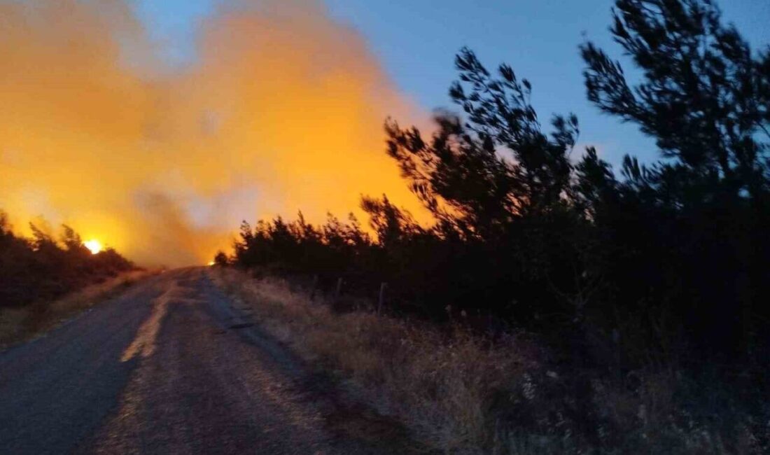 Çanakkale’nın Bayramiç ilçesinde öğle saatlerinde ormanlık alanda çıkan yangını söndürme