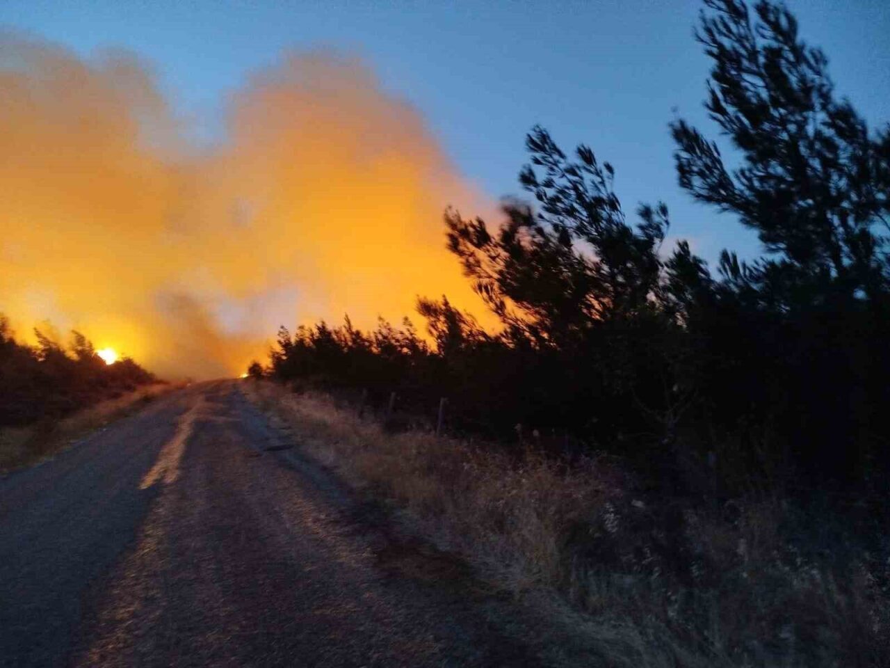 Çanakkale’nın Bayramiç ilçesinde öğle saatlerinde ormanlık alanda çıkan yangını söndürme