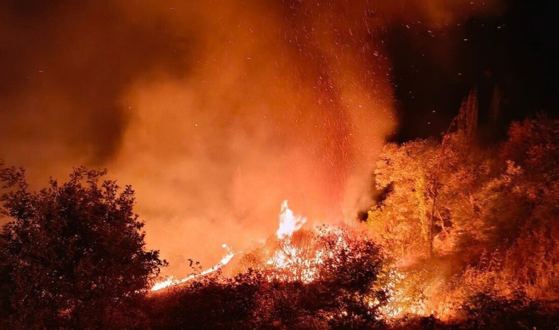 Adıyaman’ın Besni ilçesinde 4 farklı bölgede çıkan yangında bir çok