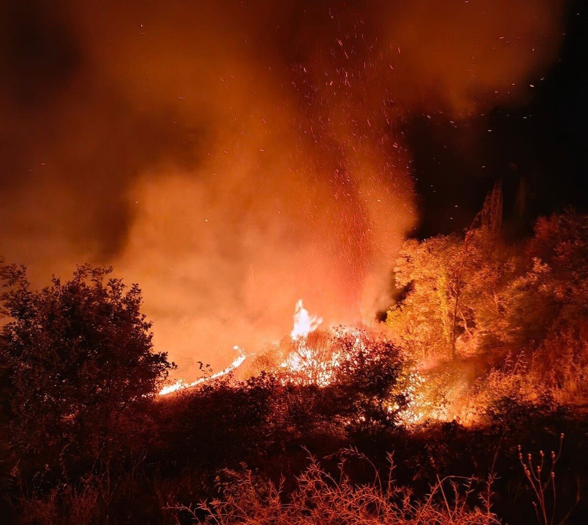Adıyaman’ın Besni ilçesinde 4 farklı bölgede çıkan yangında bir çok