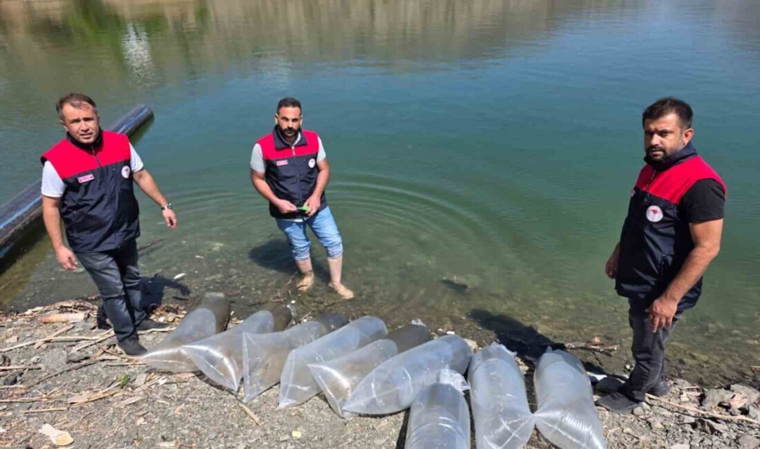 Elazığ’ın Palu ilçesinde, balık popülasyonunu artırmak ve balıkçılıkla uğraşan ailelere