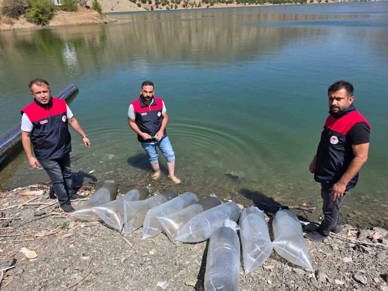 Elazığ’ın Palu ilçesinde, balık popülasyonunu artırmak ve balıkçılıkla uğraşan ailelere