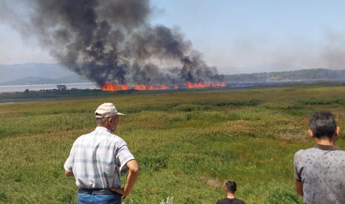 Konya’nın Beyşehir ilçesinde sazlık alanda çıkan yangın, yakınındaki ormanlık alana