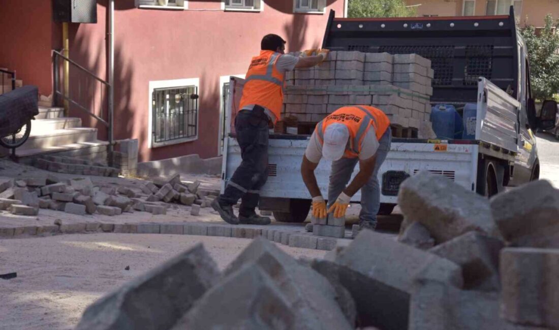 Bilecik Belediyesi Fen İşleri Müdürlüğü ekipleri, kentin birçok noktasında kapsamlı