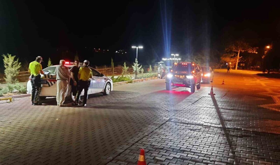 Bilecik’te polis ekiplerince gerçekleştirilen trafik denetimleri sonucunda, 187 sürücüye çeşitli