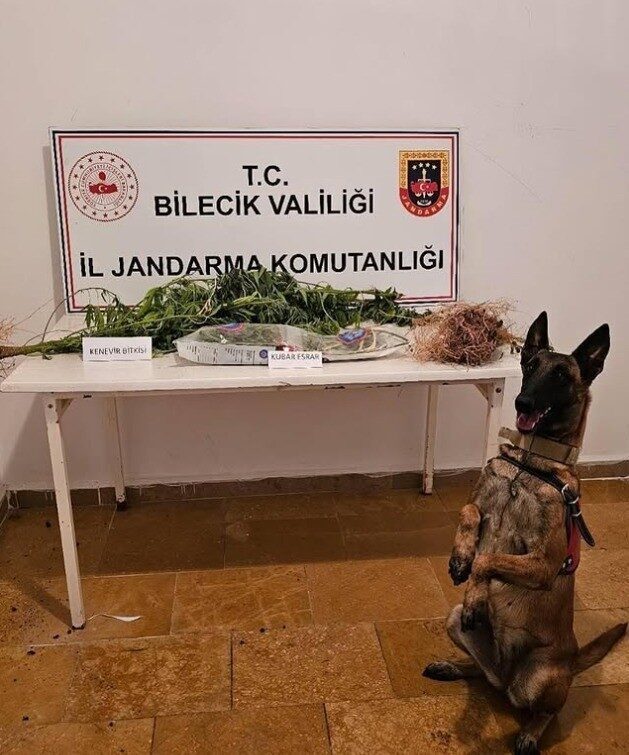 Bilecik’te jandarma ekipleri, uyuşturucu ile mücadele kapsamında gerçekleştirdikleri operasyonda, yasa