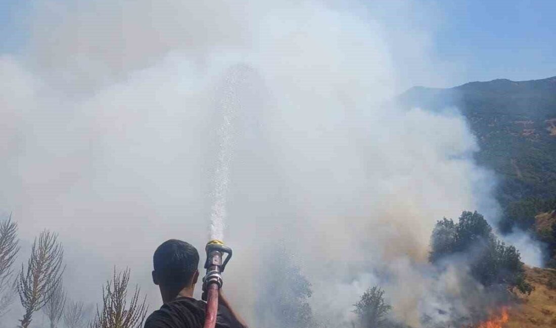Bingöl’de kırsal alanda çıkan yanın ekiplerin müdahalesi ile söndürüldü. Edinilen