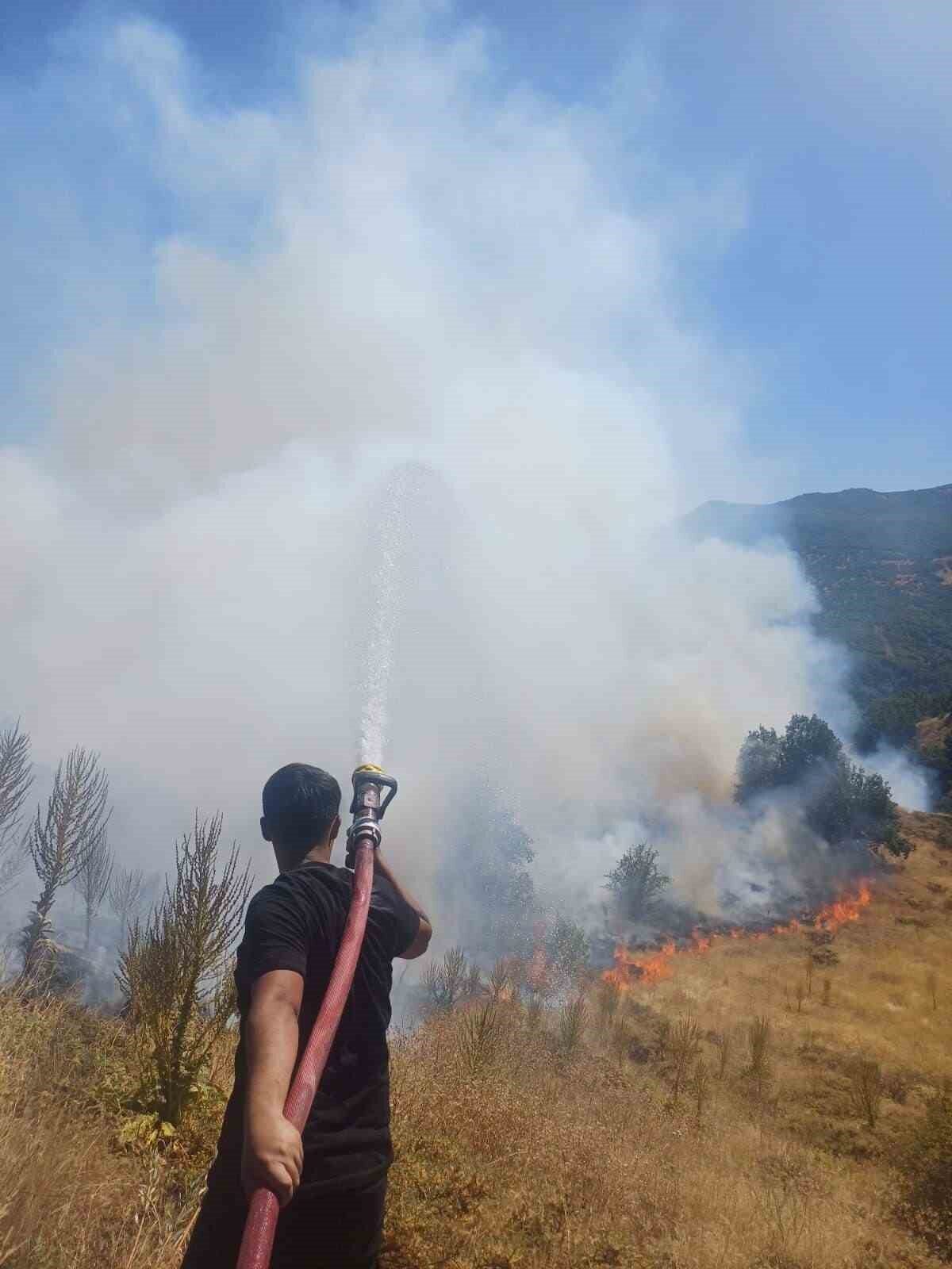 Bingöl’de kırsal alanda çıkan yanın ekiplerin müdahalesi ile söndürüldü. Edinilen