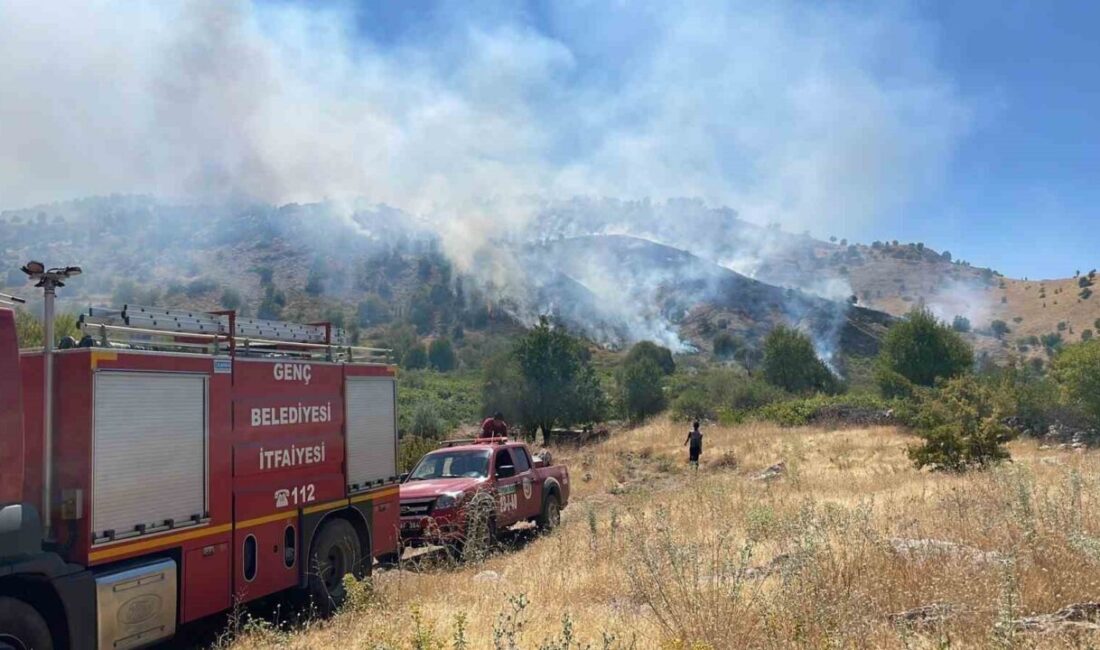 Bingöl’ün Genç ilçesine bağlı bir köyde çıkan yangın ormana sıçrarken,