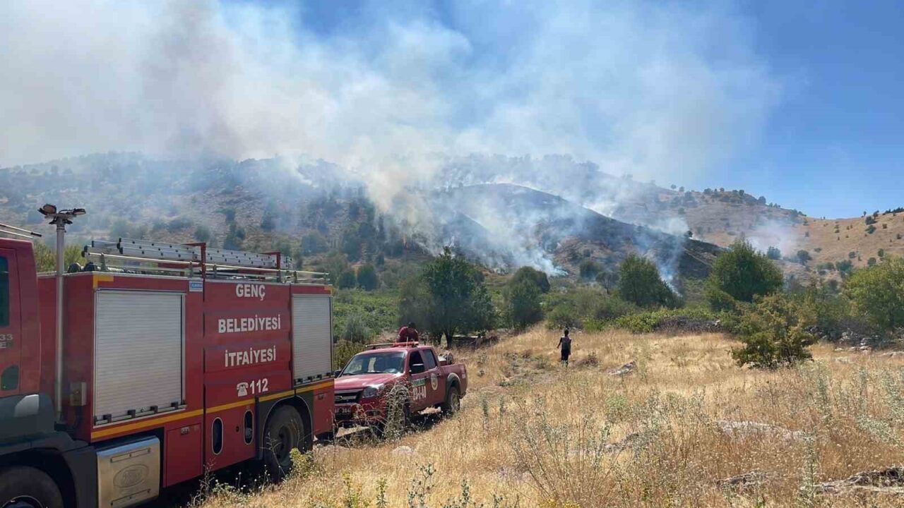 Bingöl’ün Genç ilçesine bağlı bir köyde çıkan yangın ormana sıçrarken,