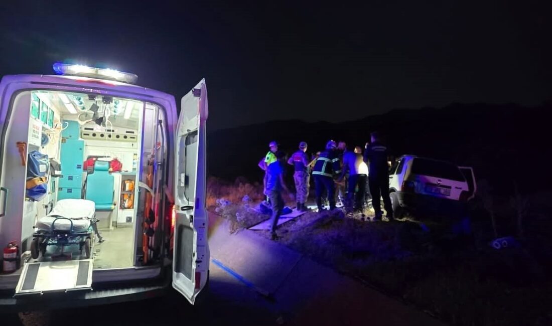 Bingöl’de otomobilin ata çarpması sonucu meydana gelen kazada, 2 kişi