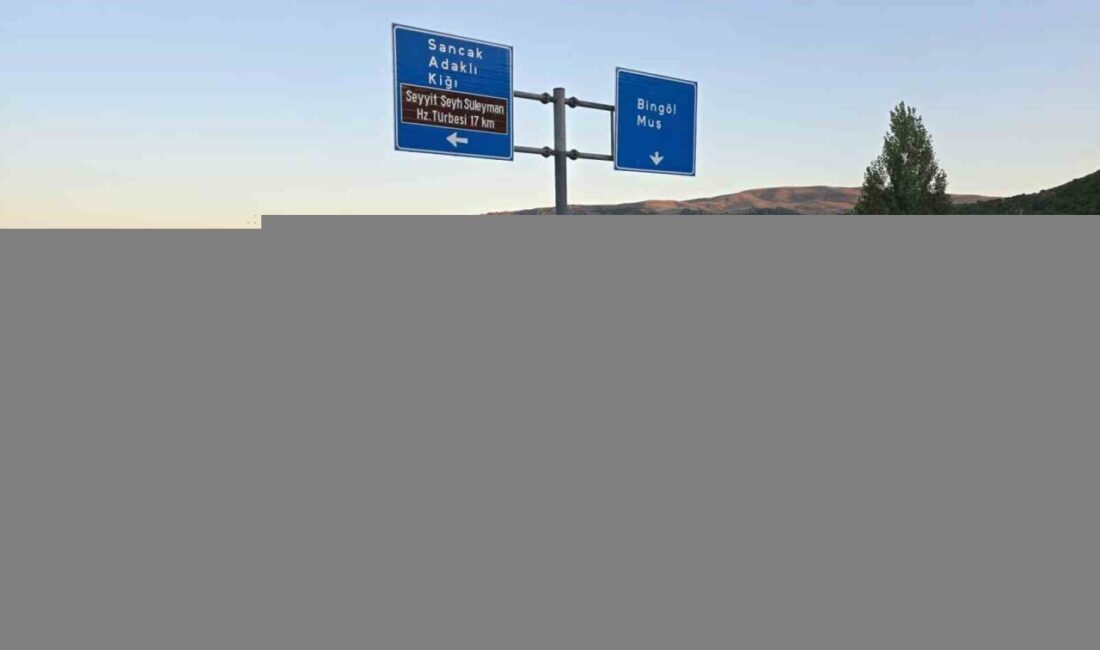 Bingöl’de iki hafif ticari aracın çarpışması sonucu meydana gelen trafik