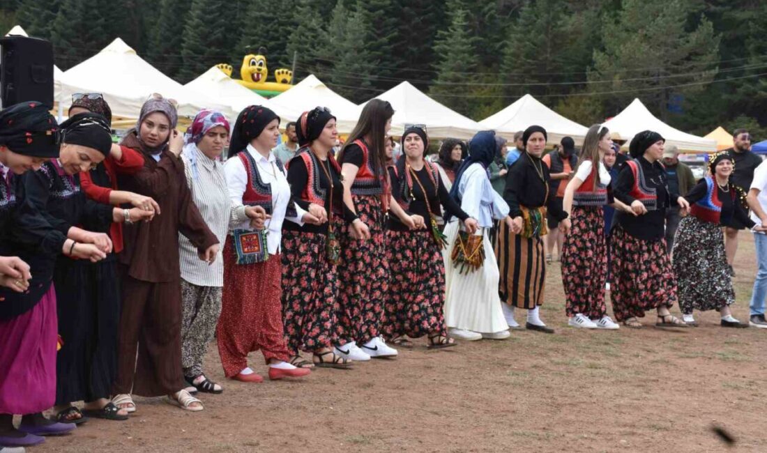Sakarya’nın Hendek ilçesinin bin 500 rakımlı Çiğdem Yaylası’nda bu sene