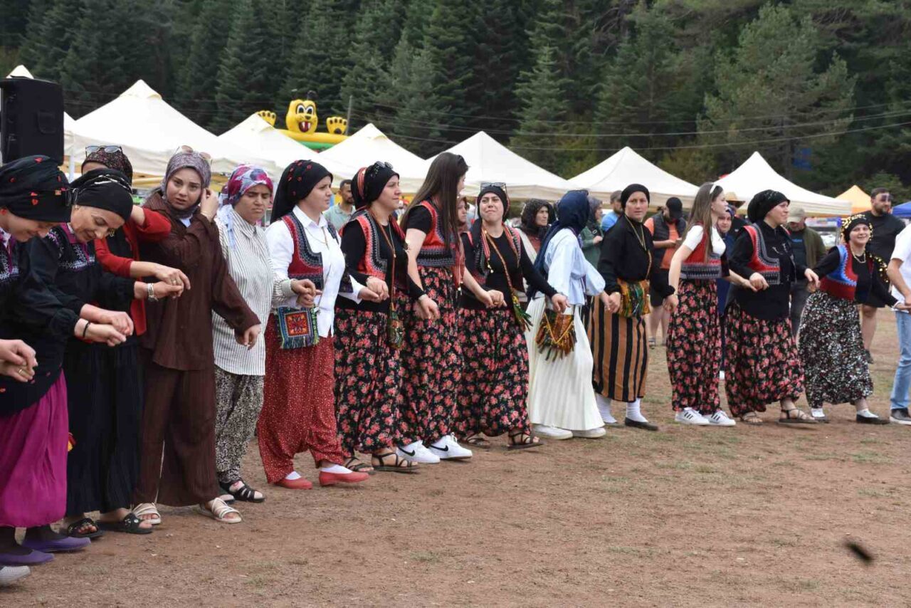 Sakarya’nın Hendek ilçesinin bin 500 rakımlı Çiğdem Yaylası’nda bu sene