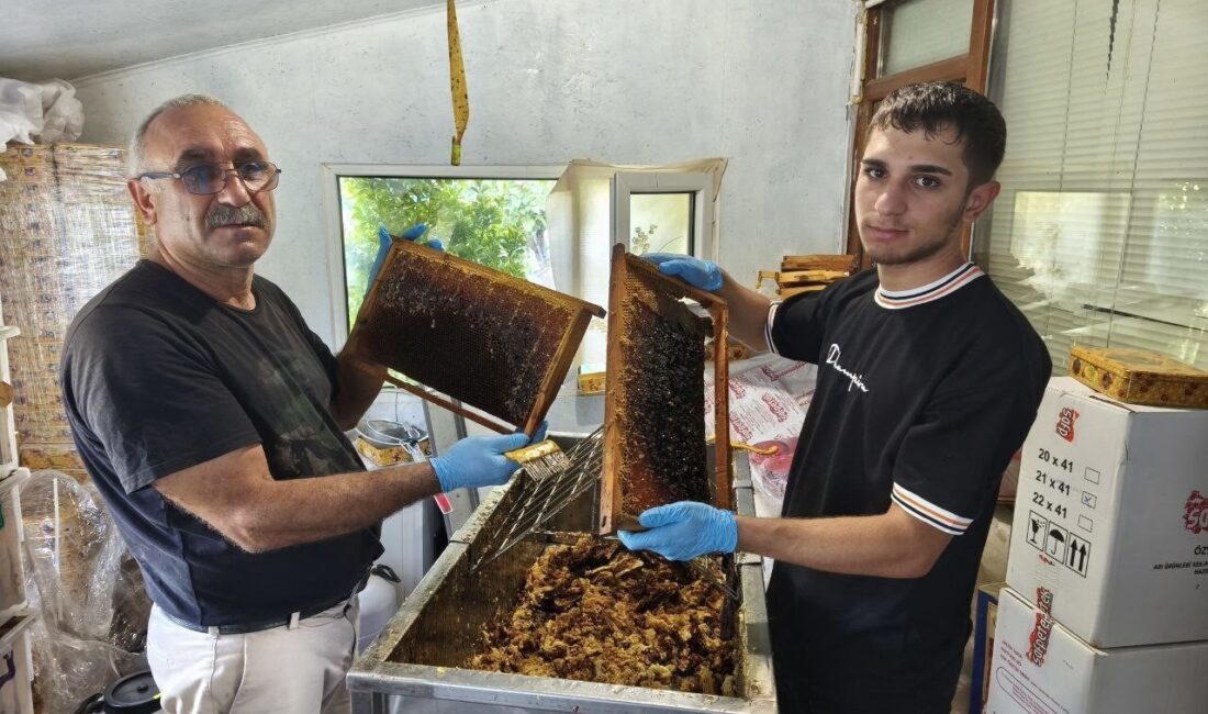 Tunceli’nin Çemişgezek ilçesinde babasına arıcılık, hayvancılık, bağ bahçe işlerinde yardım