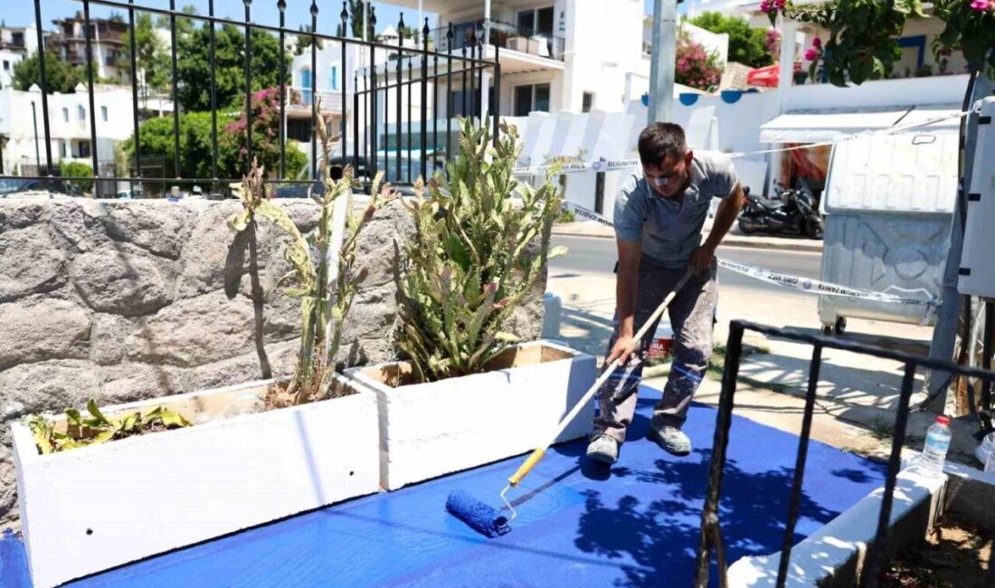 Belediye ekipleri, kent estetiğine katkı sağlamak ve toplumsal farkındalık oluşturmak