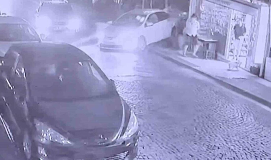 Muğla’nın Bodrum ilçesinde 2.96 promil alkollü ve ehliyetsiz olan sürücü,