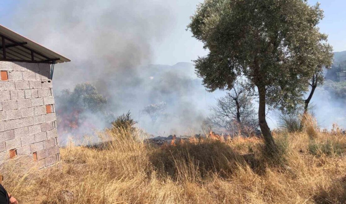 Muğla’nın Bodrum ilçesinde çıkan yangın, ekiplerin müdahalesiyle kontrol altına alınan