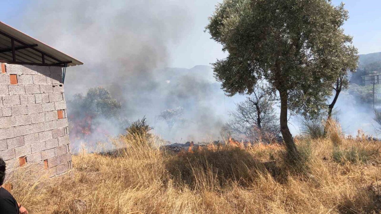Muğla’nın Bodrum ilçesinde çıkan yangın, ekiplerin müdahalesiyle kontrol altına alınan