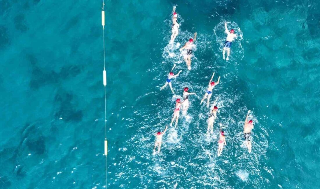 Memorial Sağlık Grubu ile Türkiye Yüzme Federasyonu iş birliğinde düzenlenen