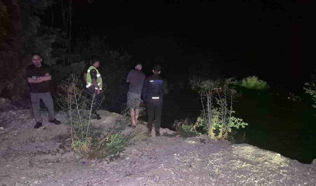 DÜZCE (İHA) – Bolu Dağı’nda park halindeki minibüs, frenlerinin boşalması